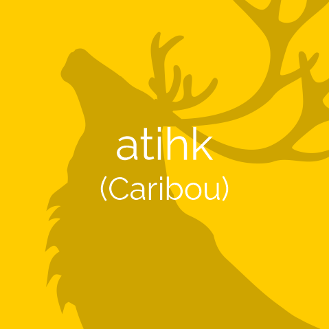 caribou sponsor